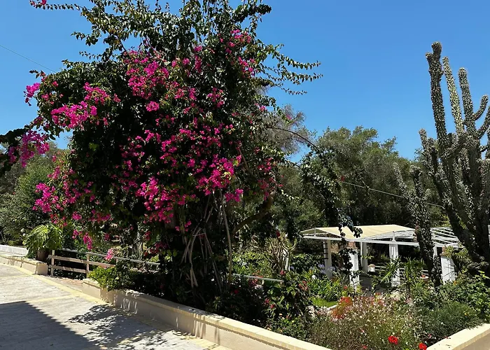 Sailors Luxury * Agia Pelagia Chlomou