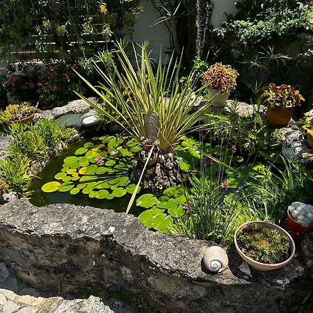 Sailors Luxury * Agia Pelagia Chlomou